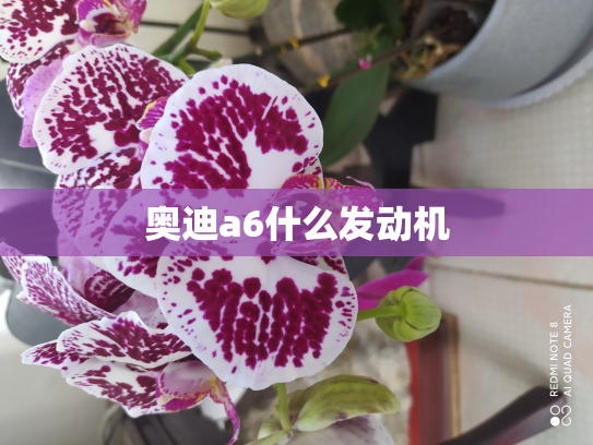 奥迪a6什么发动机