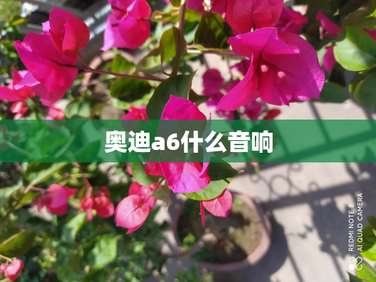 奥迪a6什么音响
