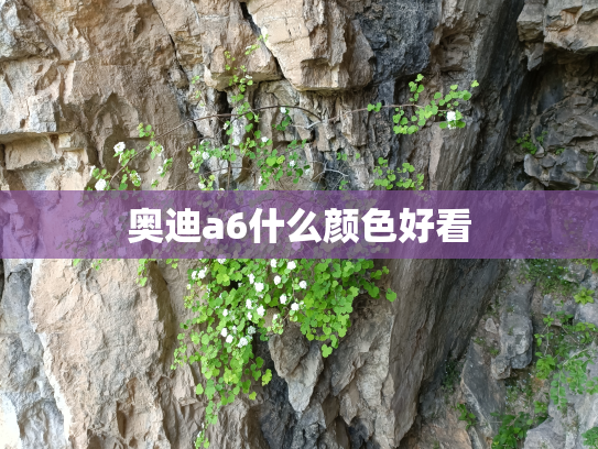 奥迪a6什么颜色好看