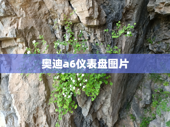 奥迪a6仪表盘图片