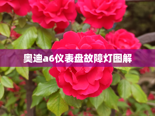 奥迪a6仪表盘故障灯图解
