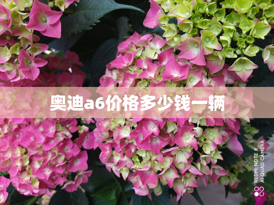 奥迪a6价格多少钱一辆