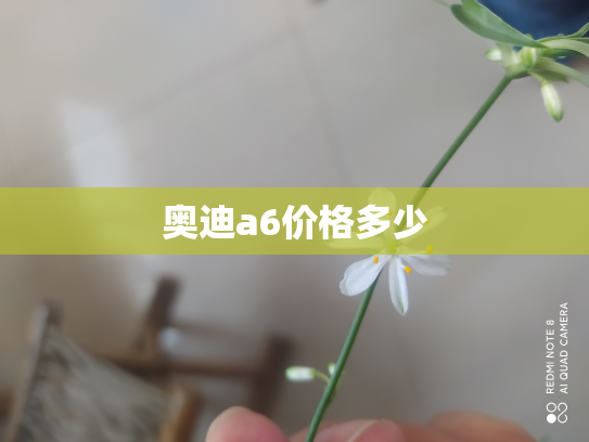 奥迪a6价格多少