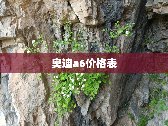 奥迪a6价格表