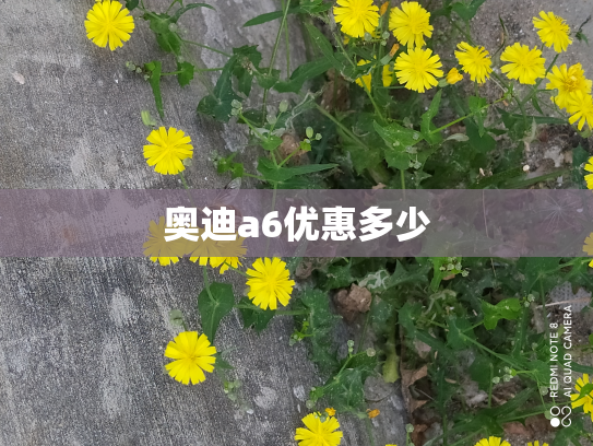 奥迪a6优惠多少