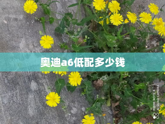 奥迪a6低配多少钱