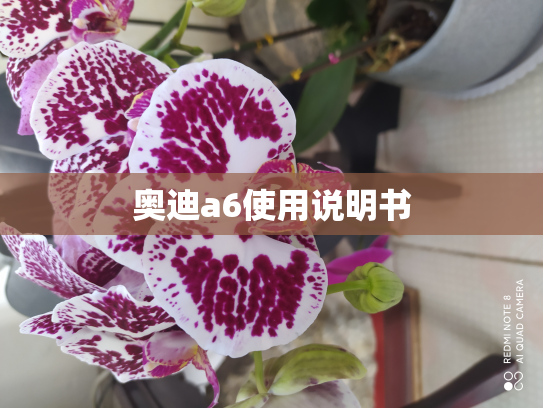 奥迪a6使用说明书