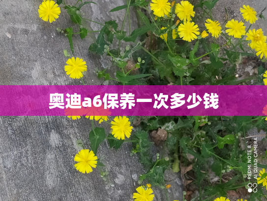 奥迪a6保养一次多少钱
