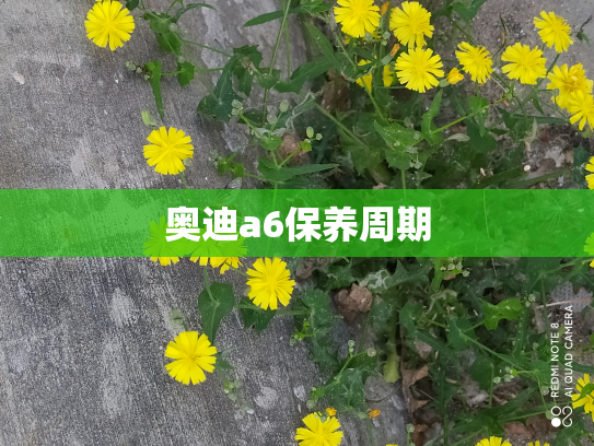 奥迪a6保养周期