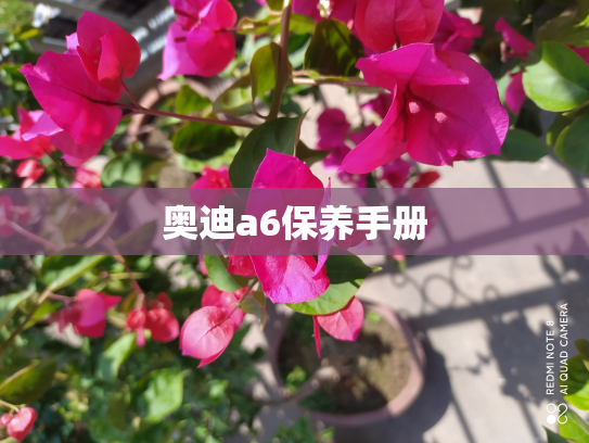奥迪a6保养手册