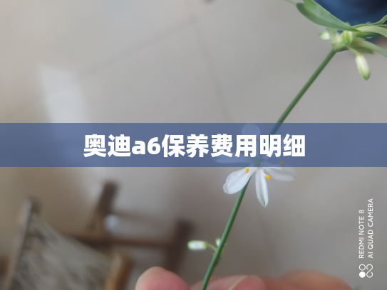 奥迪a6保养费用明细