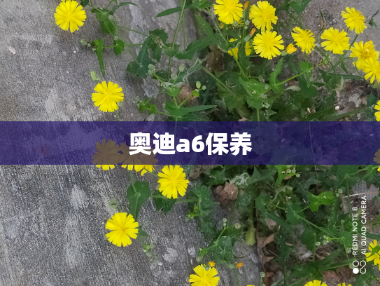 奥迪a6保养