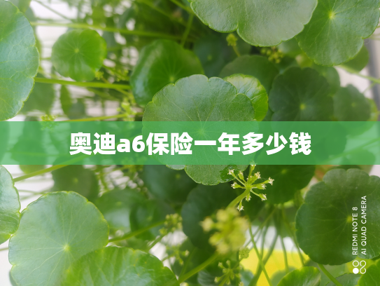 奥迪a6保险一年多少钱