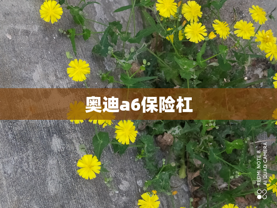 奥迪a6保险杠