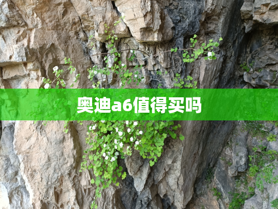 奥迪a6值得买吗