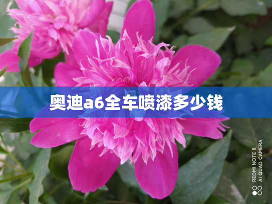 奥迪a6全车喷漆多少钱