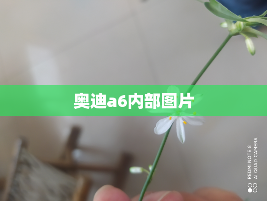 奥迪a6内部图片