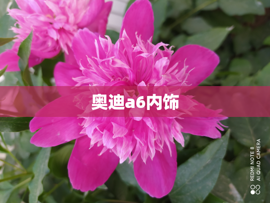 奥迪a6内饰