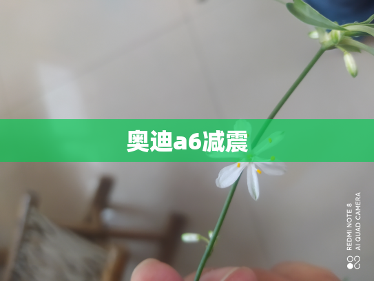 奥迪a6减震