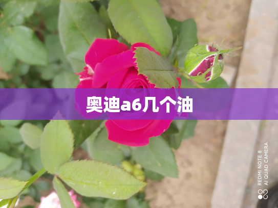 奥迪a6几个油