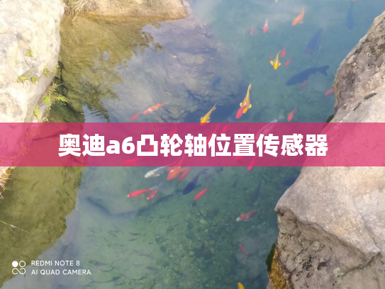 奥迪a6凸轮轴位置传感器