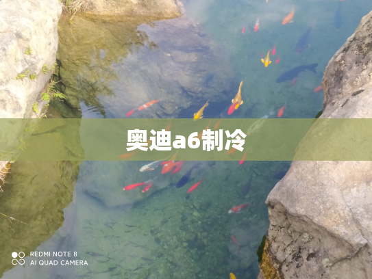 奥迪a6制冷