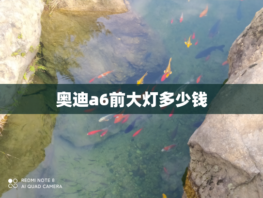 奥迪a6前大灯多少钱