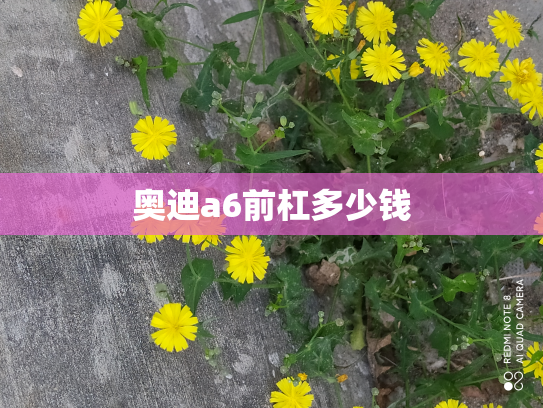 奥迪a6前杠多少钱