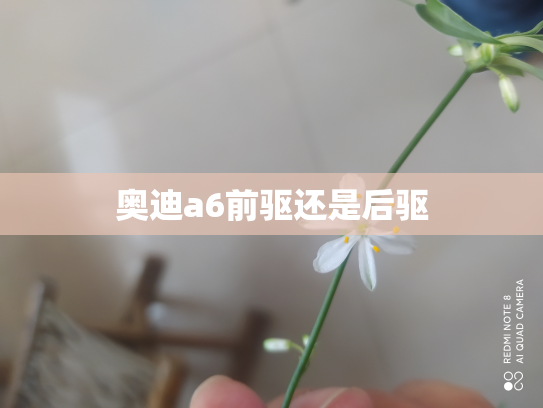 奥迪a6前驱还是后驱