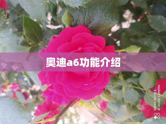 奥迪a6功能介绍