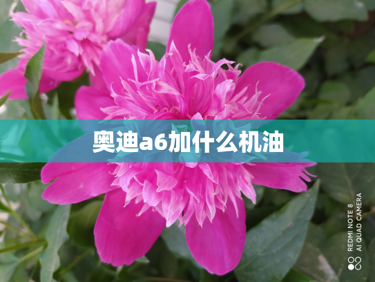 奥迪a6加什么机油
