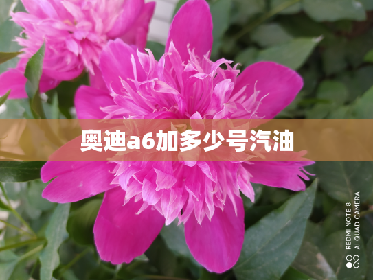 奥迪a6加多少号汽油