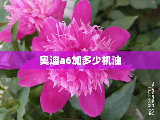 奥迪a6加多少机油