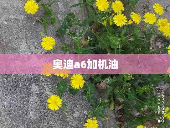 奥迪a6加机油
