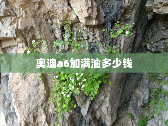 奥迪a6加满油多少钱