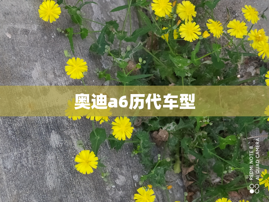 奥迪a6历代车型