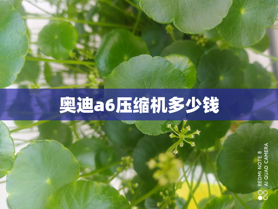 奥迪a6压缩机多少钱