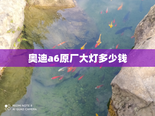 奥迪a6原厂大灯多少钱