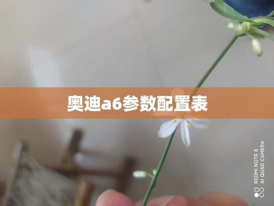 奥迪a6参数配置表