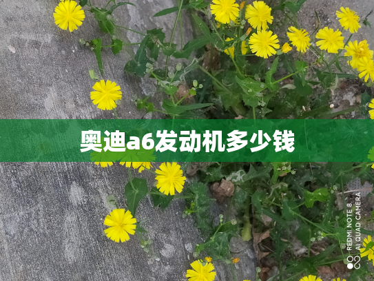 奥迪a6发动机多少钱