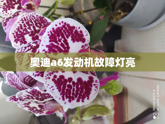 奥迪a6发动机故障灯亮