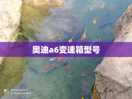 奥迪a6变速箱型号