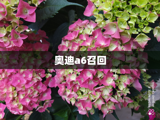 奥迪a6召回
