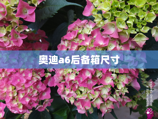 奥迪a6后备箱尺寸
