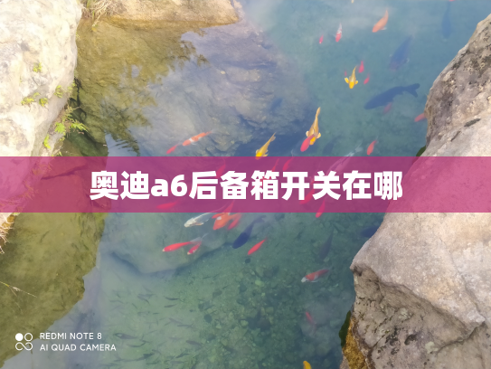 奥迪a6后备箱开关在哪