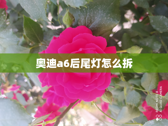 奥迪a6后尾灯怎么拆