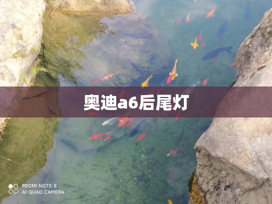 奥迪a6后尾灯