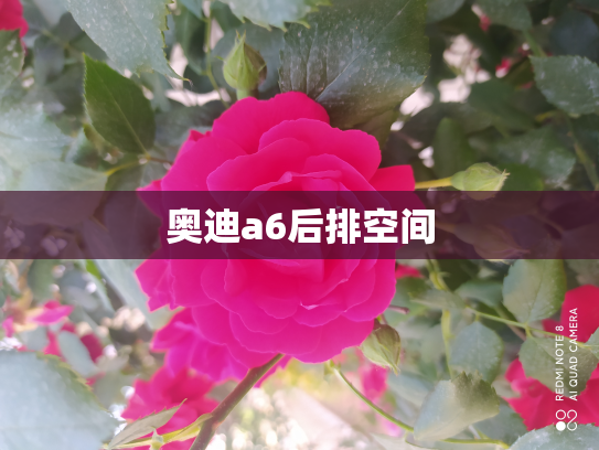 奥迪a6后排空间