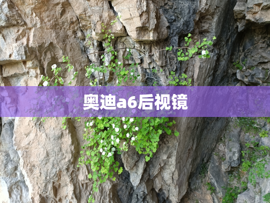 奥迪a6后视镜