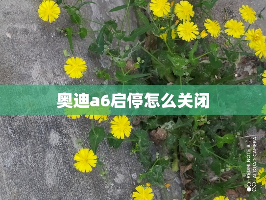 奥迪a6启停怎么关闭